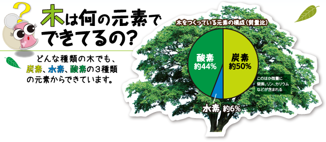 木は何の元素でできてるの？どんな種類の木でも炭素・水素・酸素の3種類の元素からできています。