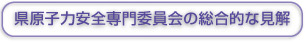 県原子力安全専門委員会の総合的な見解