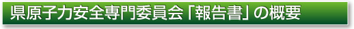 県原子力安全専門委員会「報告書」の概要