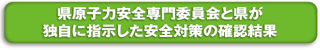 県原子力安全専門委員会と県が独自に指示した安全対策の確認結果